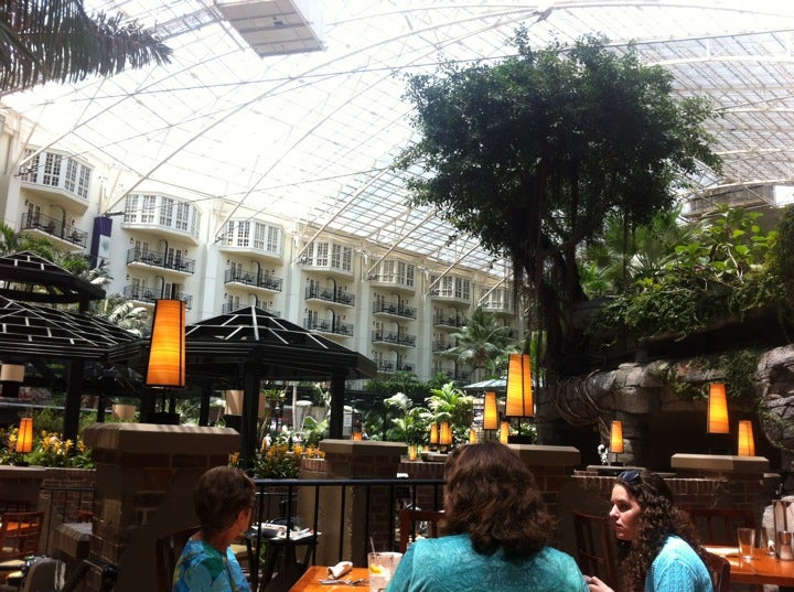 Cascades American Cafe, 2800 Opryland Dr, Nashville, TN, Bistro MapQuest