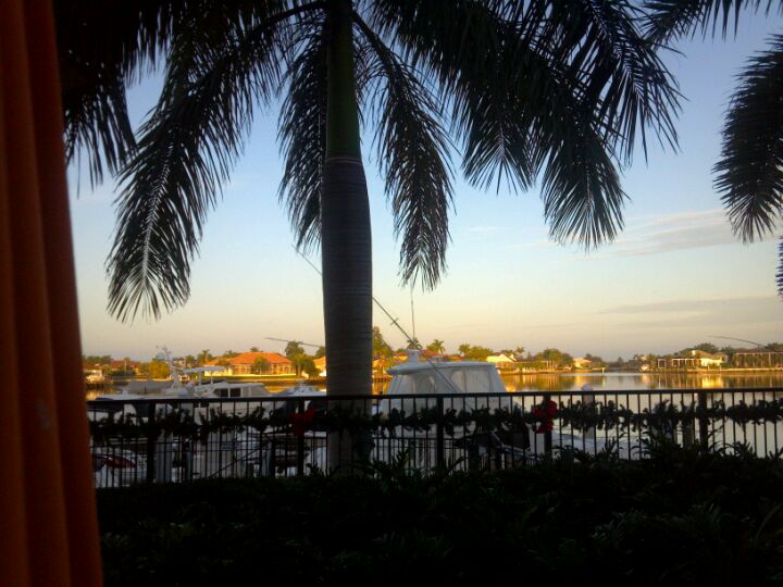 Mangos Cuban Cafe, 1826 Trade Center Way, Naples, FL, Restaurants