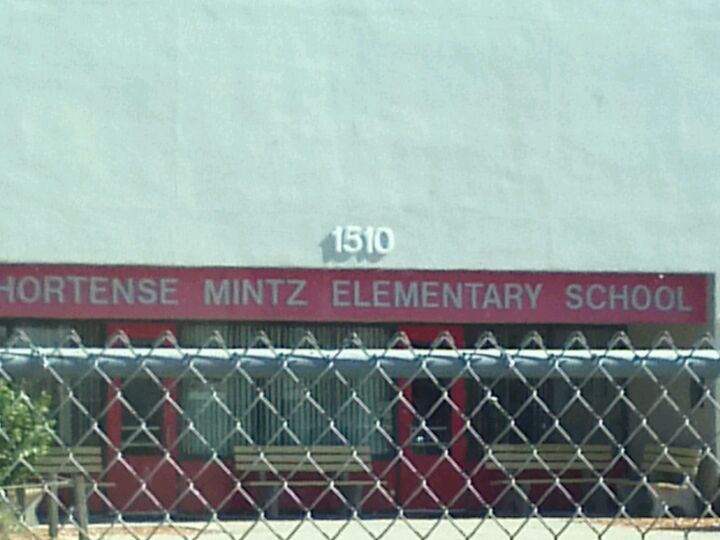 Mintz Elementary School, 1510 Heather Lakes Blvd, Brandon, FL, Schools