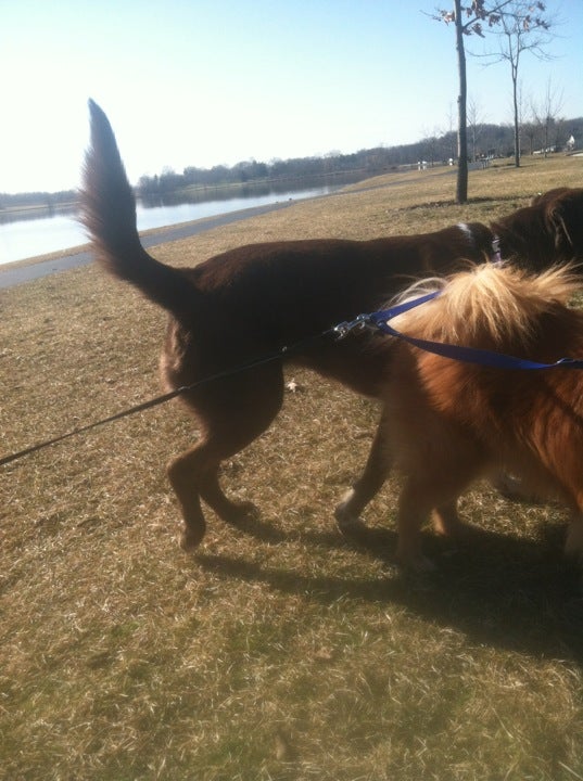 Lakemore, OH Map & Directions MapQuest