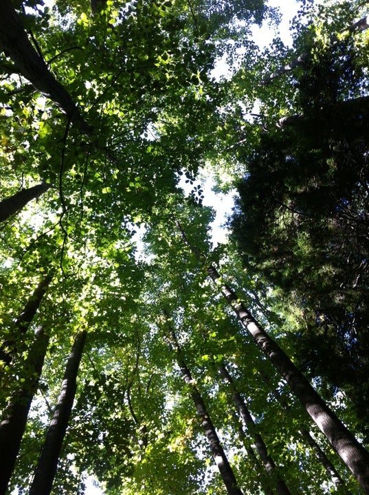 Fairview, PA Map & Directions MapQuest