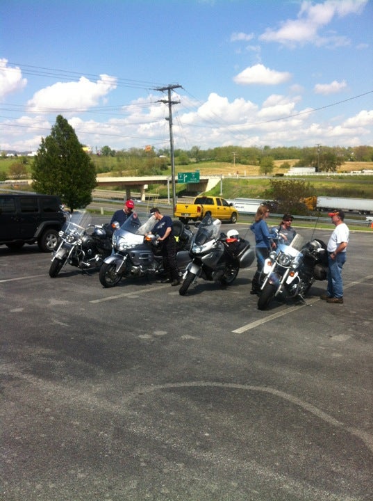 Black Bear Harley Davidson