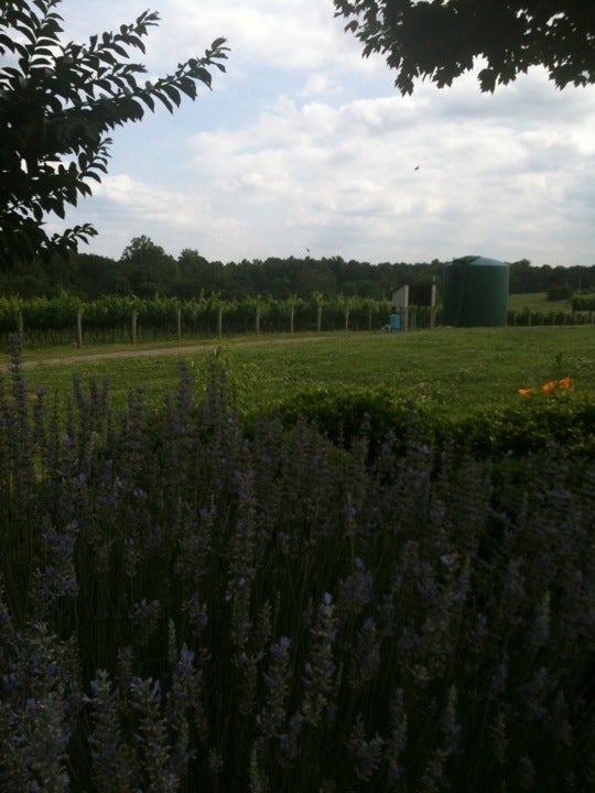 Mill Spring, NC Map & Directions MapQuest