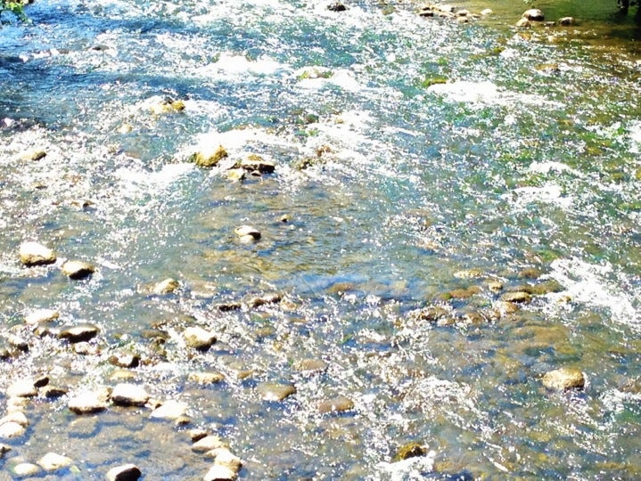 Pinckney, MI Map & Directions MapQuest