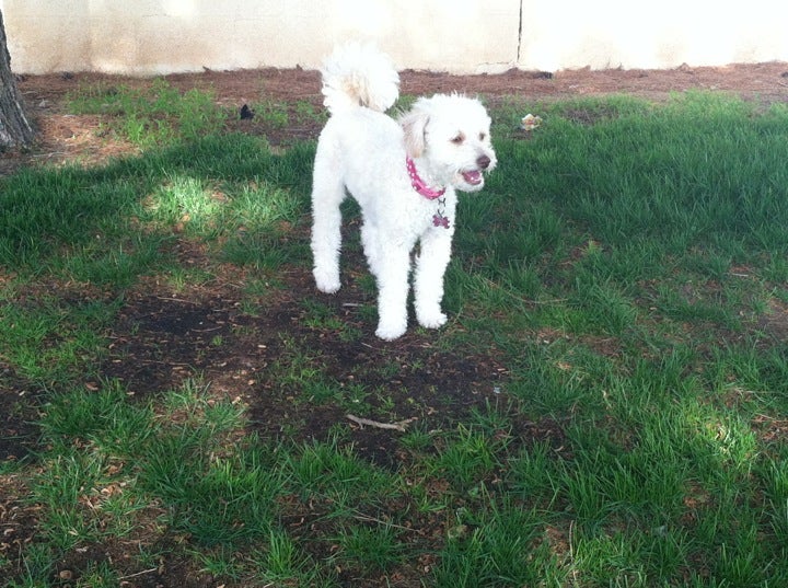 Eagle Ranch Park, 12587 Eagle Ranch Pkwy, Victorville, CA, Playgrounds