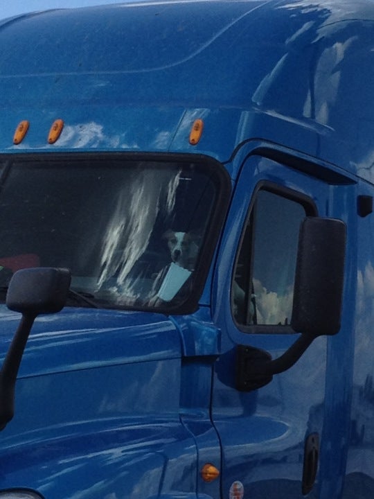 Marietta, OK Map & Directions MapQuest