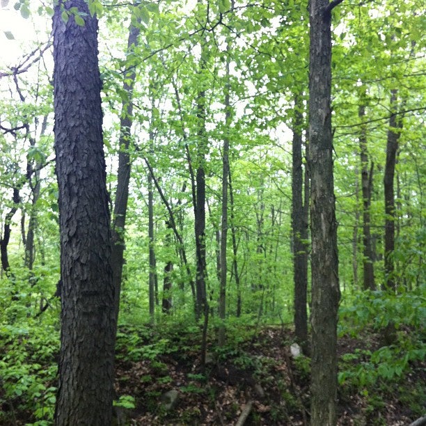 Mulliken, MI Map & Directions MapQuest