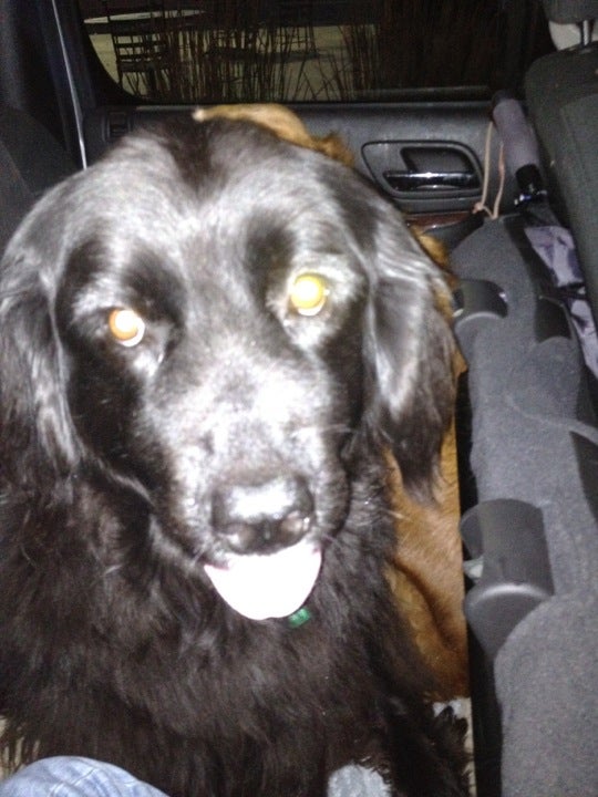 Staples, MN Map & Directions MapQuest