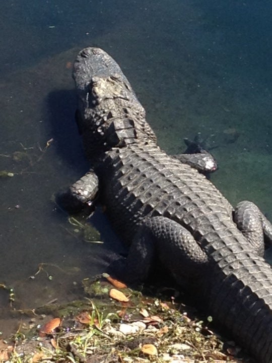 Ruth Eckerd Hall, 1111 N McMullen Booth Rd, Clearwater, Florida, Office