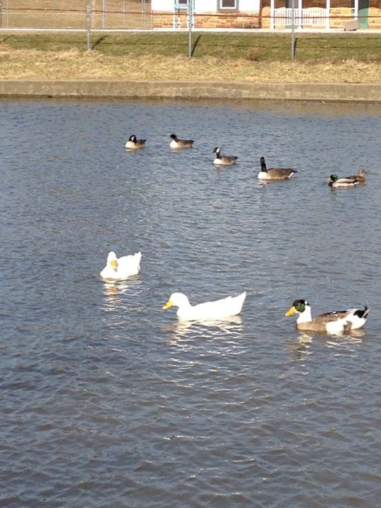 Lucas, OH Map & Directions MapQuest