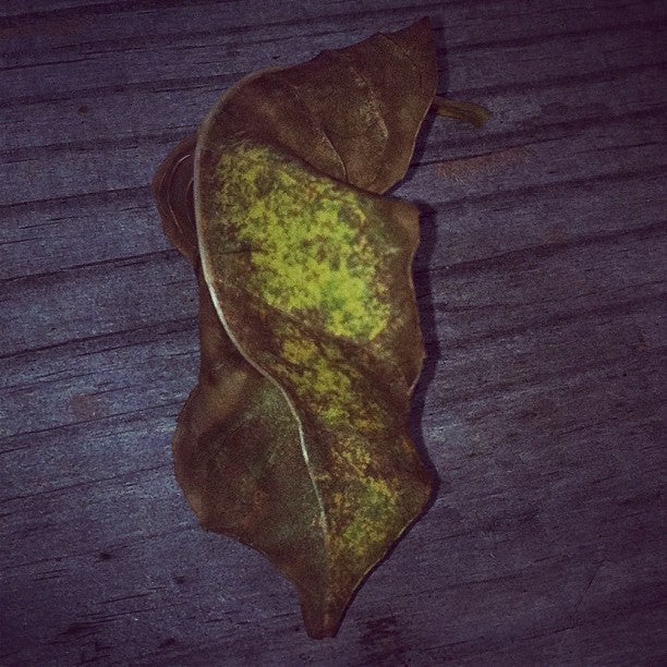 Kiwanis Family Park and Greenway, Sanford, NC MapQuest