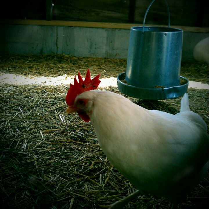 Shawnee, KS Map & Directions MapQuest