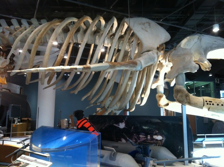 NC Museum of History CAT/RLine Bus Stop, E Edenton St, Raleigh, NC