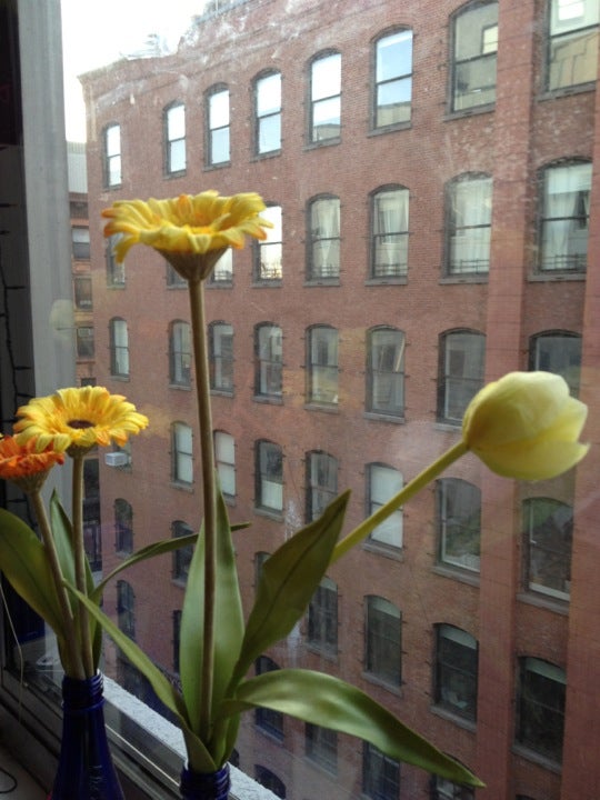 NYU Broome Street Residence Hall, 400 Broome St, New York, NY, Colleges