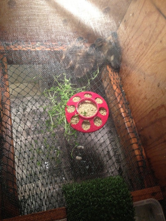 Bird Treatment & Learning Center, 6132 Nielson Way, Anchorage, AK