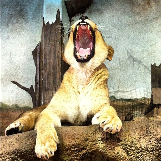 Its mission is to inspire people to conserve animals in the natural world. Potter Park Zoo, 1301 S Pennsylvania Ave, Lansing, MI, Zoos MapQuest