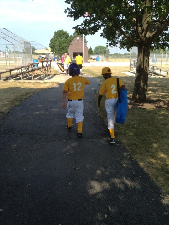 Werth Tee Ball Complex, 201 Recreation Dr, Bolingbrook, IL, Sports