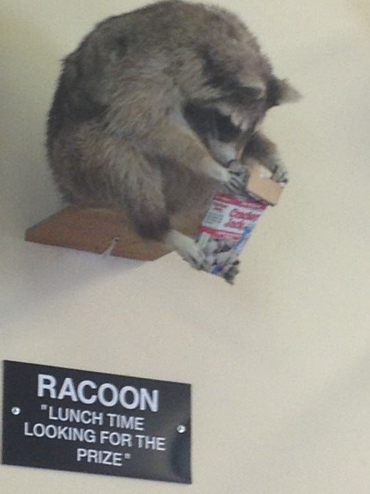 Morrison's IGA Foodliner, 531 State St, Hillman, MI, Grocery Stores