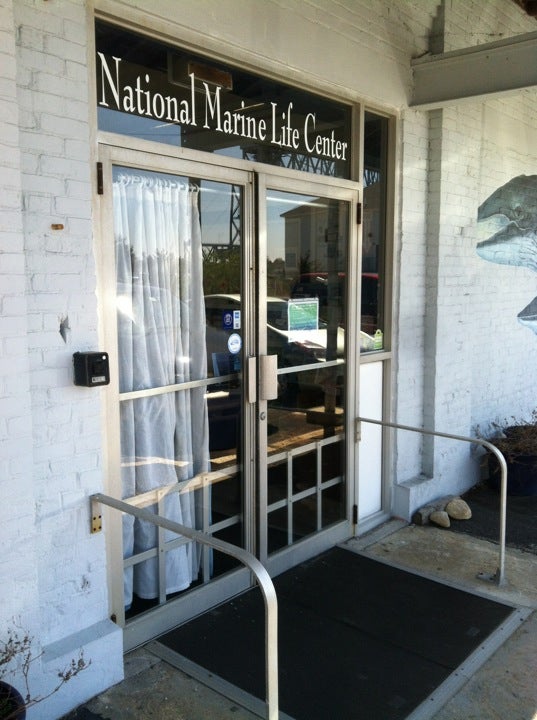 National Marine Life Center, 120 Main St, Buzzards Bay, MA, Personal