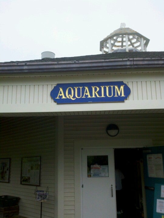 Maine State Aquarium, 194 McKown Point Rd, Boothbay Harbor, Town of, ME