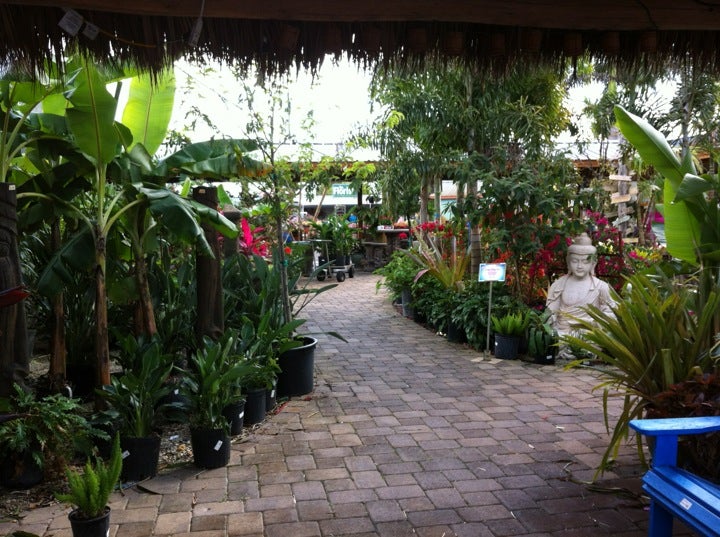 Butterfly Pavilion at Flamingo Road Nursery, 1655 S Flamingo Rd, Davie
