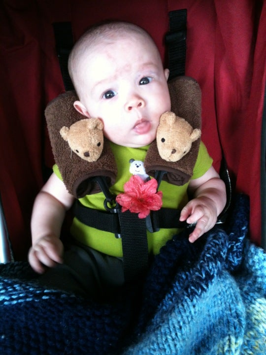 Grower's Outlet, 160 Cown Dr, Loganville, GA, Garden Centers MapQuest