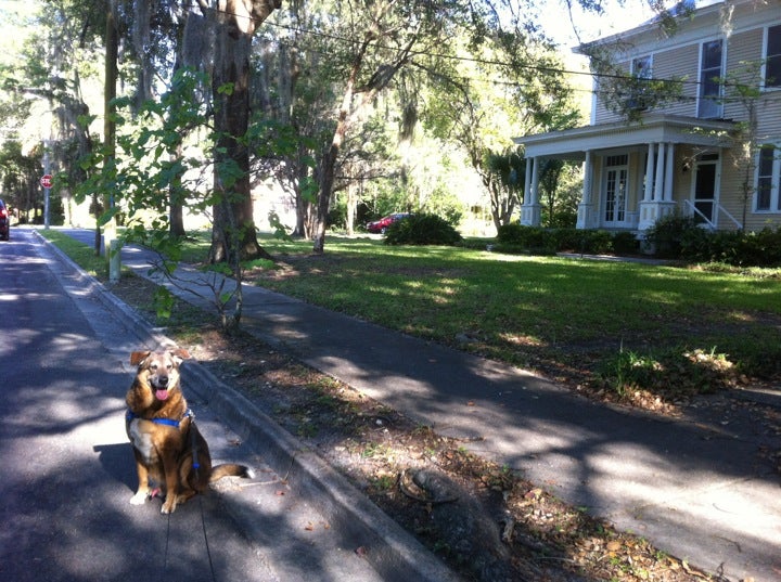 The Duck Pond, NE Blvd, Gainesville, FL MapQuest