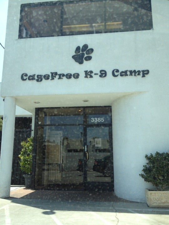 Cagefree shop k9 camp