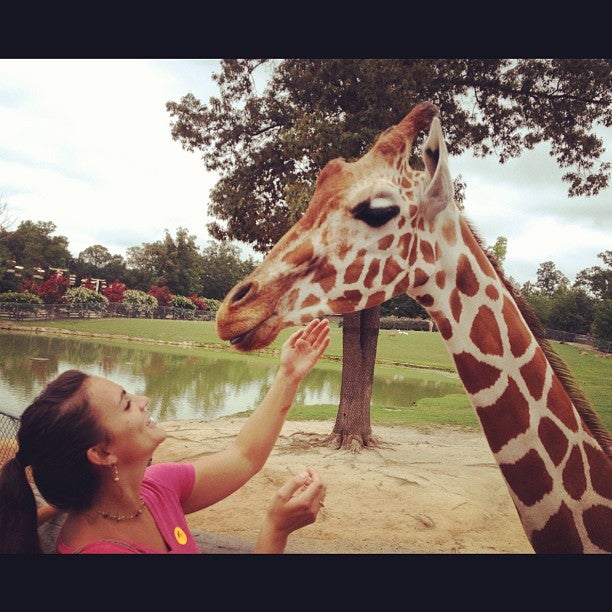 Metro Richmond Zoo, 8300 Beaver Bridge Rd, Moseley, VA, Zoos MapQuest