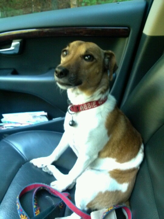 Johnson's Pond, Coventry, RI MapQuest