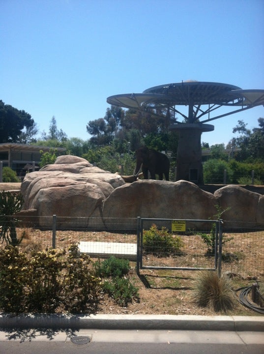 California Condor Habitat, 2920 Zoo Dr, San Diego, CA, Zoos - MapQuest