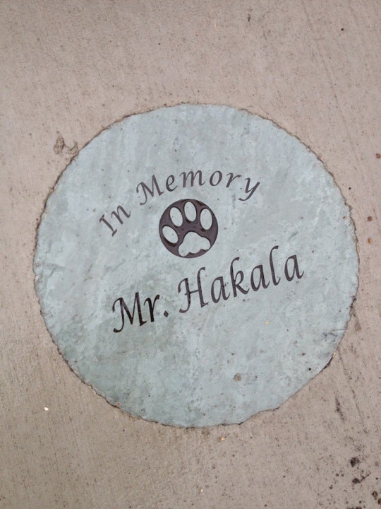 Best Schools in Auburndale Village, Wisconsin MapQuest