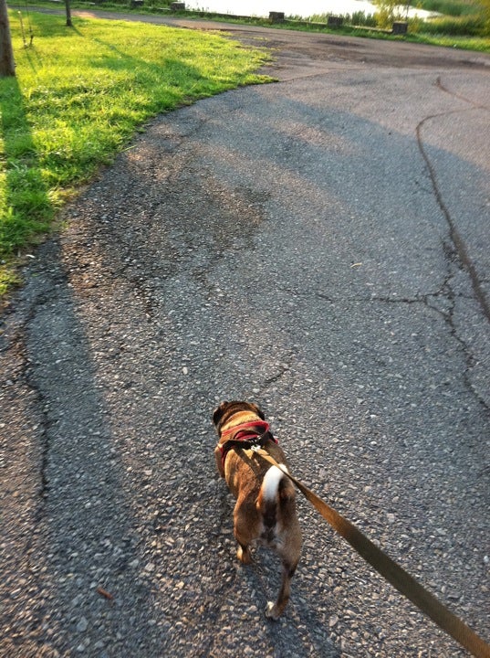 Rexford, NY Map & Directions MapQuest