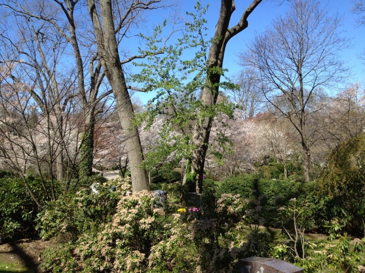 Locust Valley Cemetery, 117 Ryefield Rd, Locust Valley, NY, Cemetery