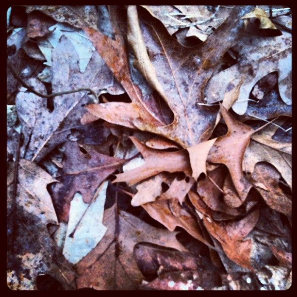 Rush, NY Map & Directions MapQuest