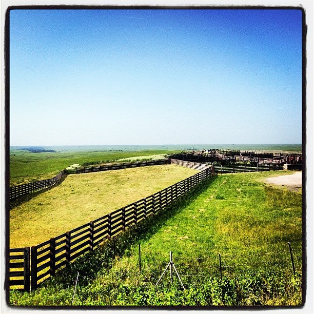 Bazaar Cattle Crossing, Kansas Turnpike, Cottonwood Falls, KS - MapQuest