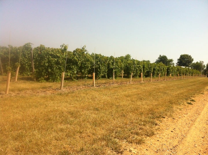 Owensville, MO Map & Directions MapQuest