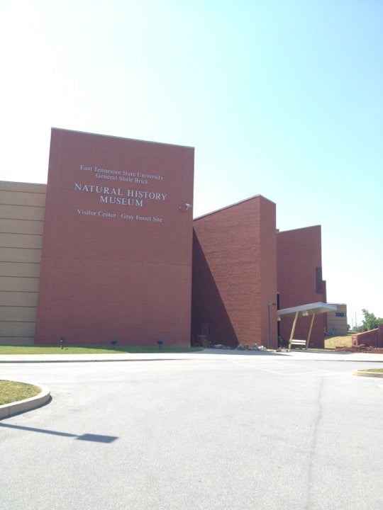 Fall Branch, TN Map & Directions MapQuest