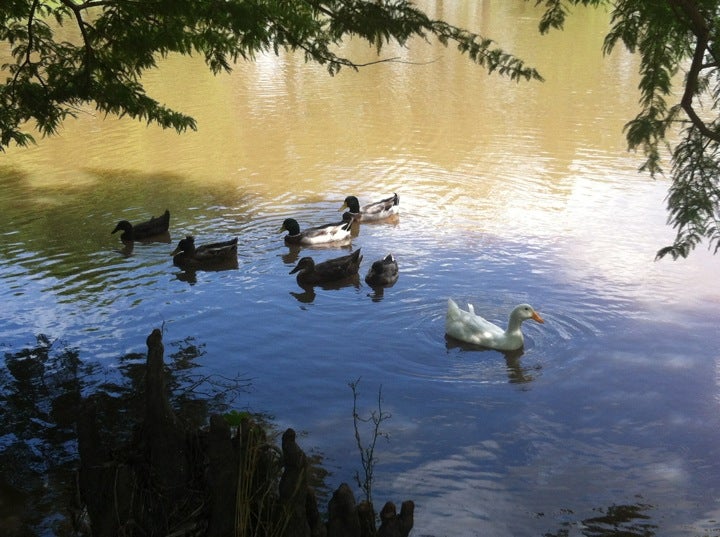 Snook, TX Map & Directions MapQuest