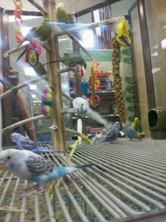 Petco, 2795 Richmond Ave, Suite 37, Staten Island, NY, Pet Supplies