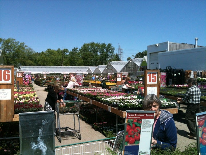 Pesche's Flowers, 170 S River Rd, Des Plaines, IL, Florists - MapQuest