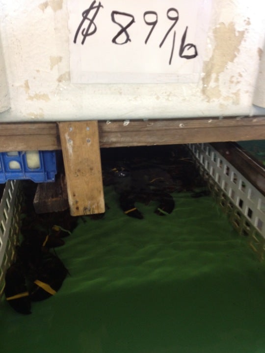 Lobster Haven, 299 Chapel St, New Haven, CT MapQuest