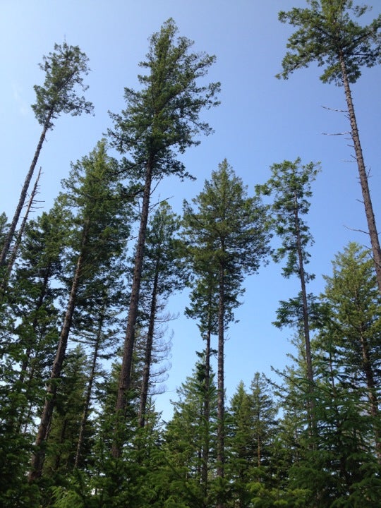 Otis, OR Map & Directions MapQuest