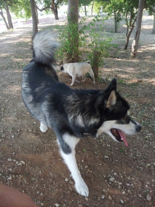 Elm Mott, TX Map & Directions MapQuest