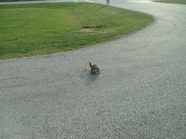 Friendswood, TX Map & Directions MapQuest