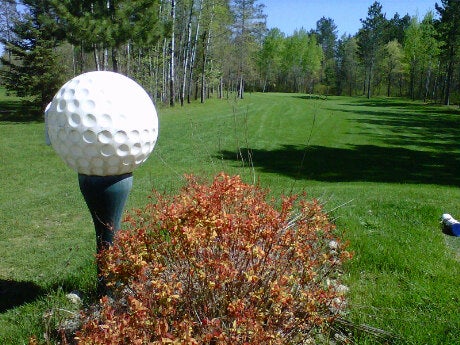 Wildwedge Golf, Mini Golf & Maze