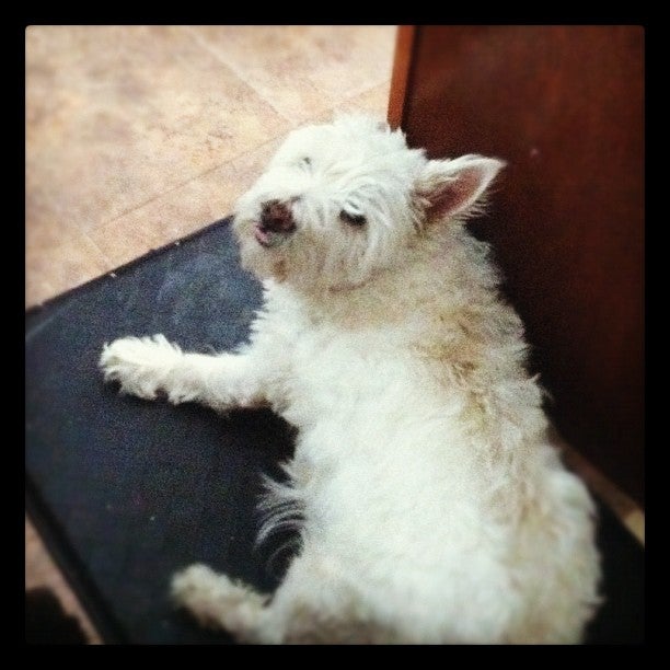 Brewster, MA Map & Directions MapQuest