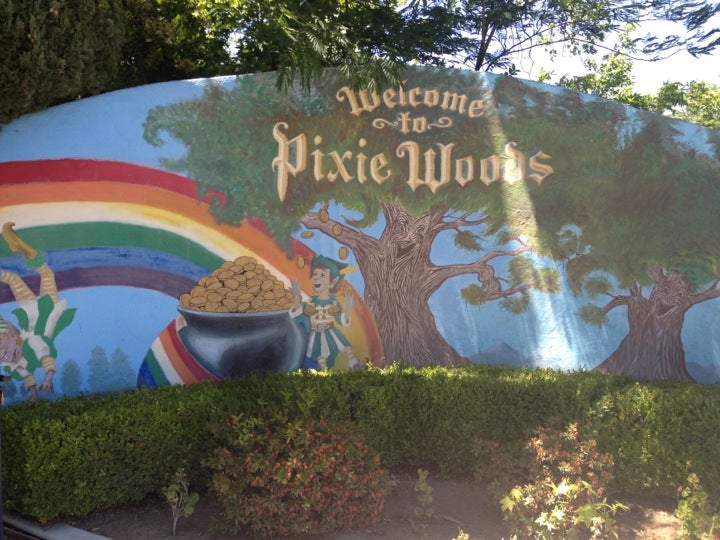 12+ Stockton Pixie Woods