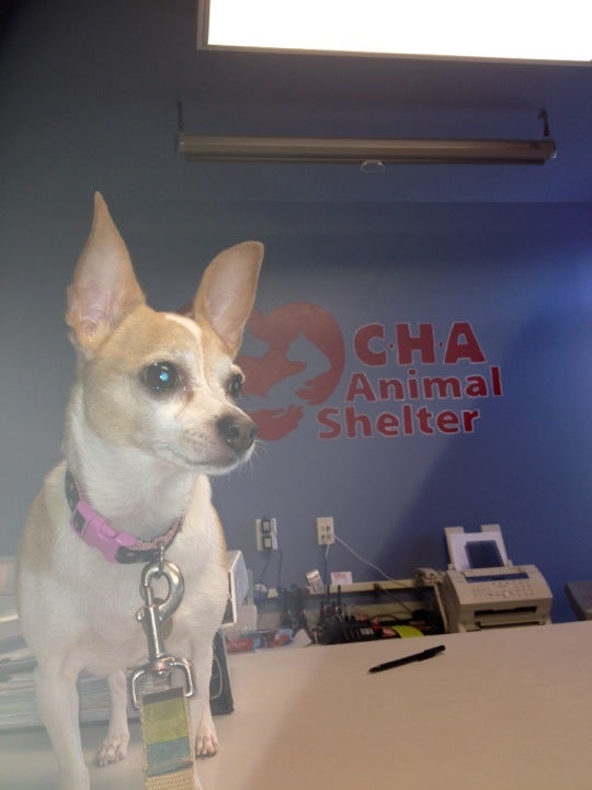 CHA Animal Shelter 3765 Corporate Dr Columbus OH MapQuest