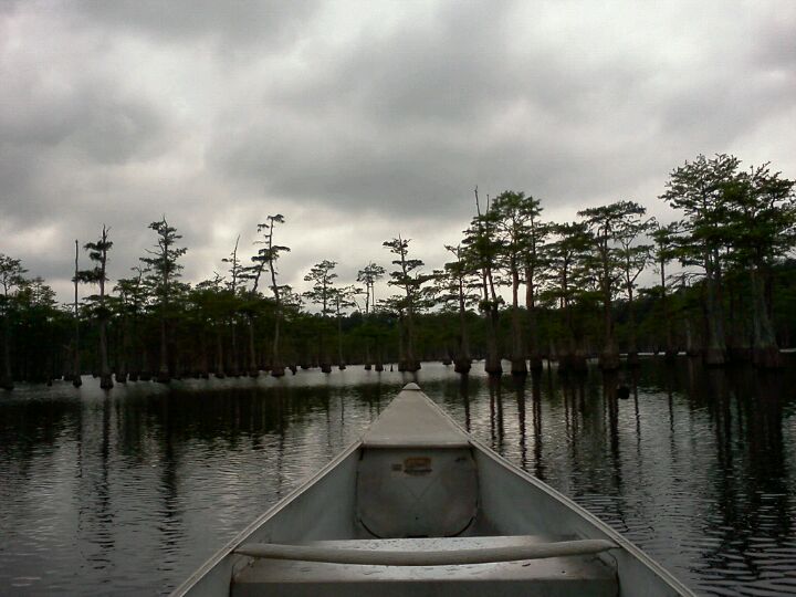 L Smith State Park, Geo L Smith State Park Rd, Twin City, GA
